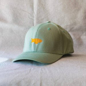 Gorra Rising Dreams Horizon verde con zeppelin Rising Dreams bordado